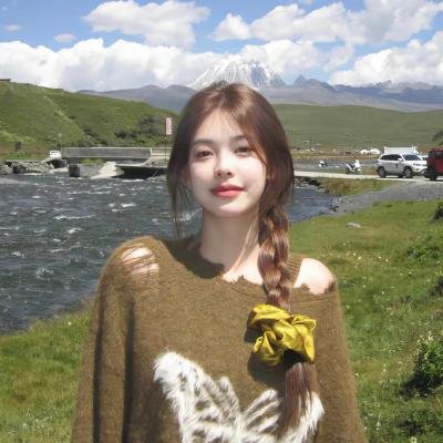 巡回检察组